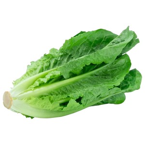 خس عربي اكسترا / Arabic Lettuce Extra