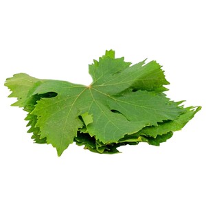 ورق عريش / Vine Leaves