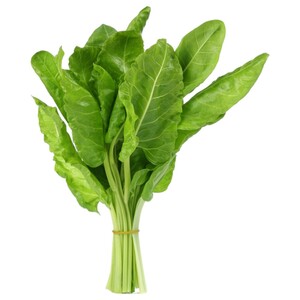 سلق اكسترا / Chard Extra