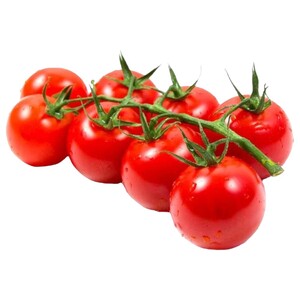 بندورة معلقة غلاكسي سوبر / Galaxy Hanging Tomatos Extra