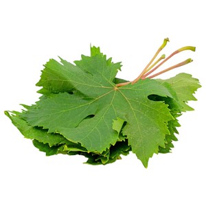 ورق عريش اكسترا / Vine Leaves Extra