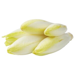 انديف ابيض / White Endives