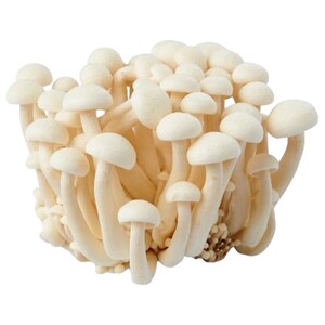 White Shaymanji Mushroom - فطر شيمنجي ابيض