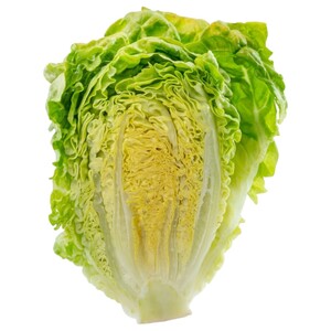سوكرين / Sukrin Lettuce