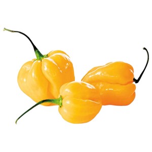 حر هبانيرو اصفر / Yellow Jabanero