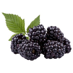 Berry - توت