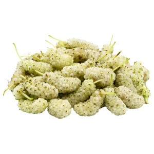 توت ابيض / White Berry