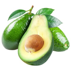 افوكا فويرتي / Fuerte Avocado