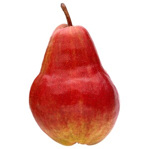 اجاص ويليام / William's Pear