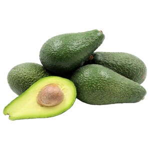 افوكا بانكرتون / Pinkerton Avocado