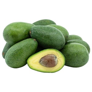افوكا فويرتي عادي / Fuerte Avocado