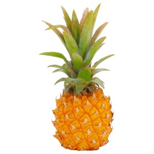 بايبي اناناس / Baby Pineapple