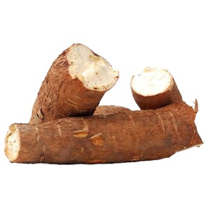 كسافا / Cassava