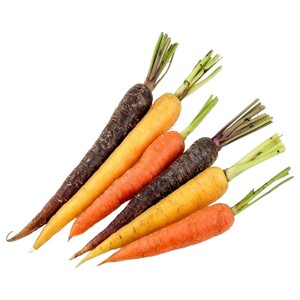 Baby Carrots Rainbow Rsa