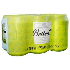 Britvic Ginger Ale 300Ml X6