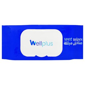 Wellplus Wet Wipes 100 Sheets
