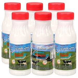 Chtoora Laban Ayran Small 225Ml X6