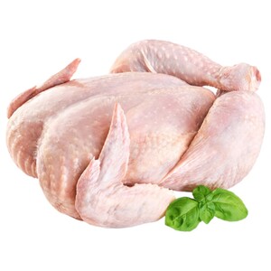Fresh Chicken