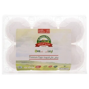 Ova Plus Large Omega 3+ White Eggs 6Pcs