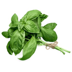 Fresh Basil