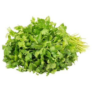 Fresh Premium Coriander (Cilantro)
