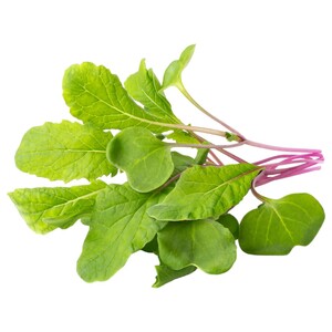 Fresh Premium Radish Leaves