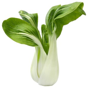 Fresh Pak Choy Leaves