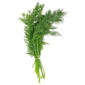 Fresh Dill (Shoumar)