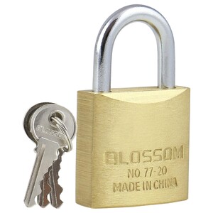 Blossom Padlock Brass Polish 20 Mm Bc77-20