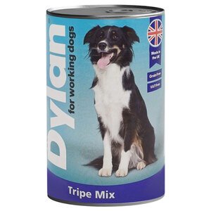 Dylan Meaty Chunks With Tripe Mix 400G