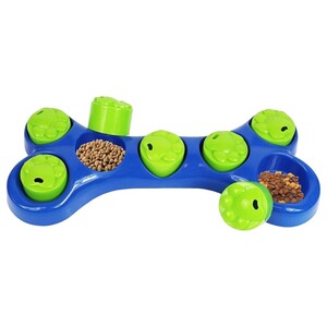 The Smart Choice Bone Puzzle