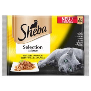 Sheba Poultry 4 Packs 85G