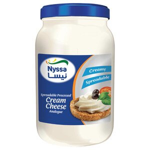 Nyssa Cream Cheese Spread 240G