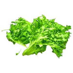 Crispy Green Lettuce