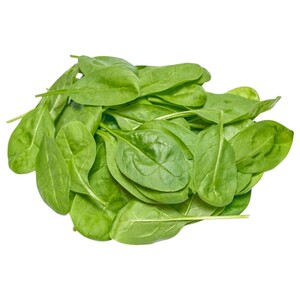 Baby Spinnach Light & Earthy