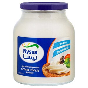 Nyssa Processed Cream Cheese 900G