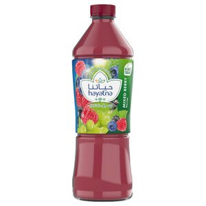 Hayatna Long Life Juice Mixed Berry Nectar 1.5L