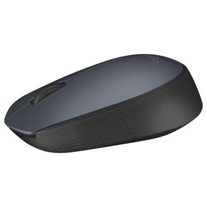 Logitech Mouse Wireless M 170