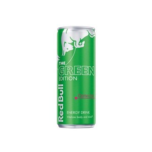Red Bull The Green Edition Cactus Fruit 250Ml