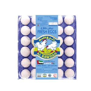 Al Rawdah Fresh White Eggs Large 30'S