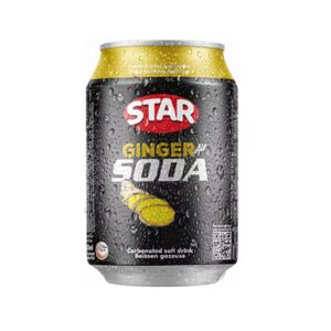 Star Ginger Soda 300Ml
