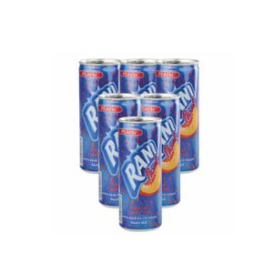 Rani Float Peach Fruit Juice 150Ml X6