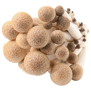 Mushroom Shimeji Brown Packet