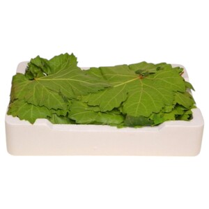 Grape Leaves 200G