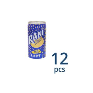 Rani Float Mango Fruit Drink 150Ml X12