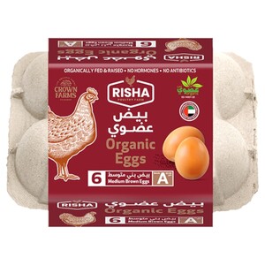 Risha Brown Organic Eggs 6 Pieces