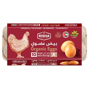 Risha Brown Organic Eggs 10 Pieces
