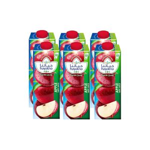 Hayatna Uht Apple Juice 180 Ml X6