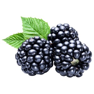 Blackberry Grade A Imported