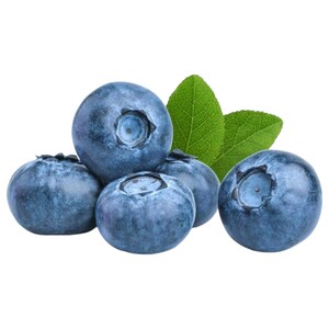 Blueberry Grade A Imported